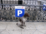 Винчи-парковка